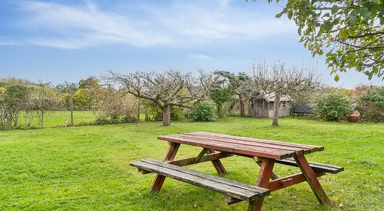 Sommerhus og anneks omringet af natur