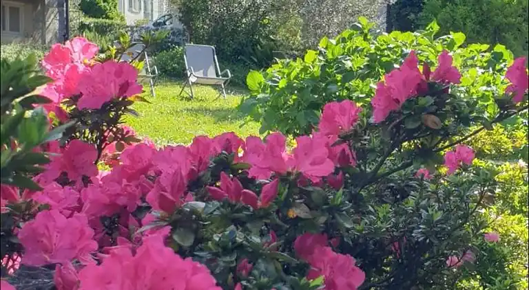 La Turr de Mezz- Bellagio LCA