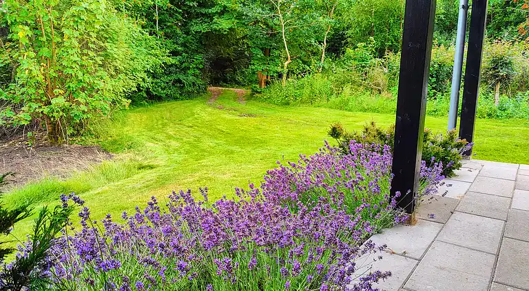 Hyggeligt, ugeneret og tæt på stranden i Lyngsbæk