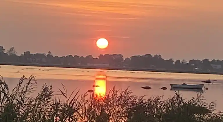 Idyllisk sommerhus få meter fra kysten