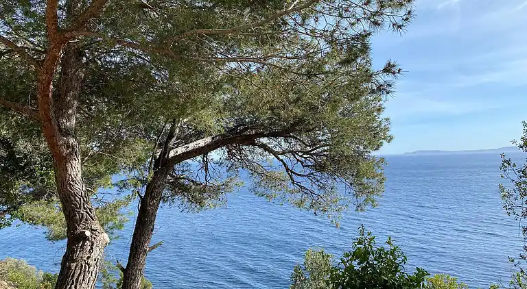 Bikini, eine Wohnung in der Nähe des Platzes