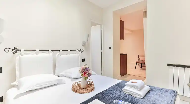 Apartment in Grenelle