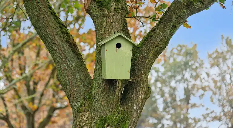 Hyggelig feriehytte ved Grindsted