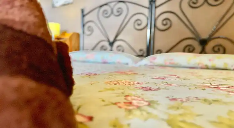 Cottage in Galapagar