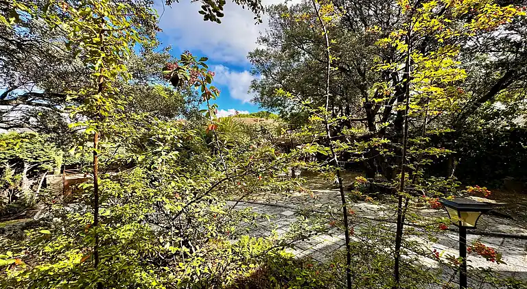 Cottage in Galapagar