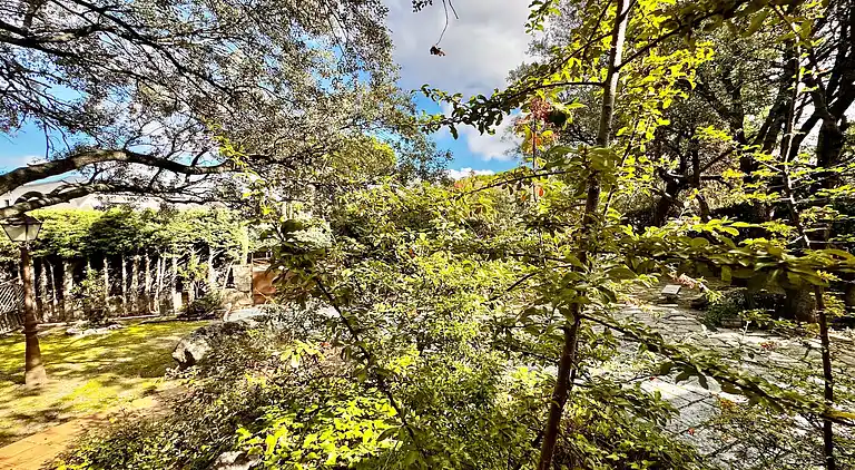 Cottage in Galapagar