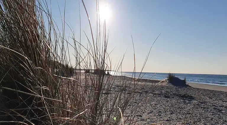 Sommerhus i Colijnsplaat