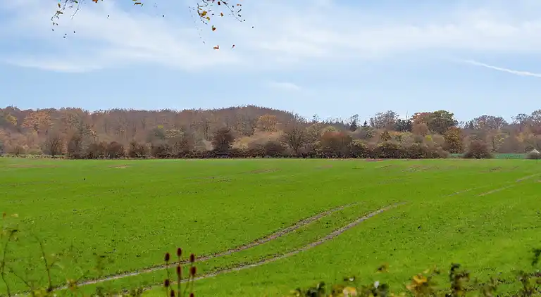 Wohnen Sie schön in naturschöner Umgebung