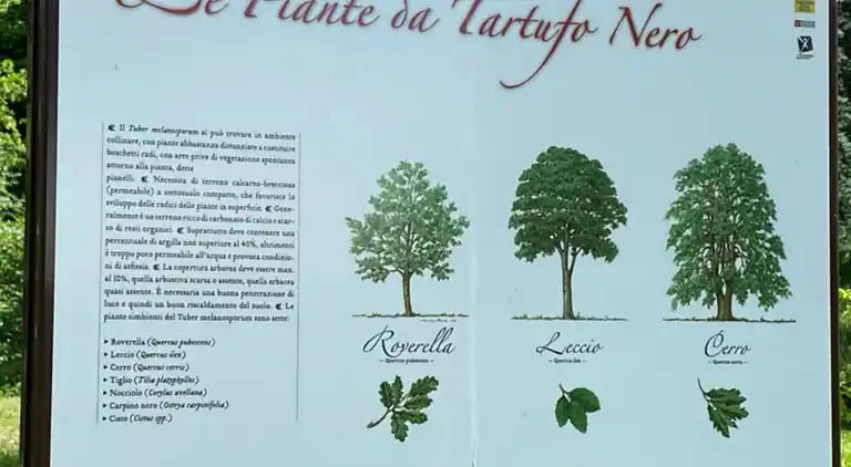 Appartamento Roero Cottage 3