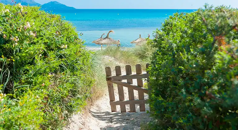 Sommerhus i Can Picafort