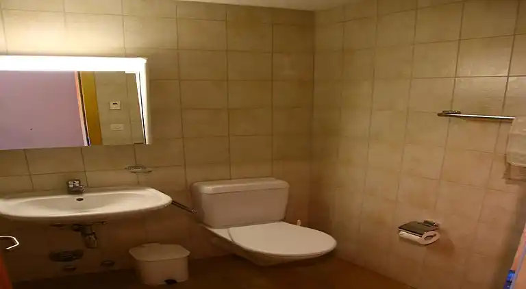 Ferienwohnung in Nendaz