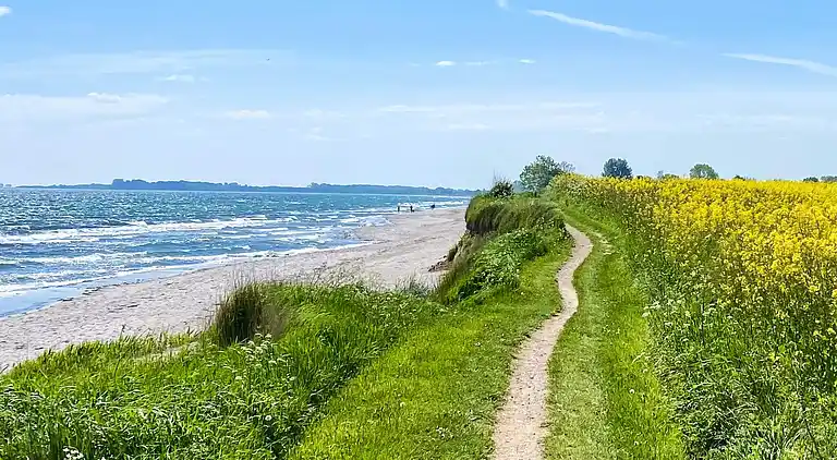 Holiday home in Wackerballig