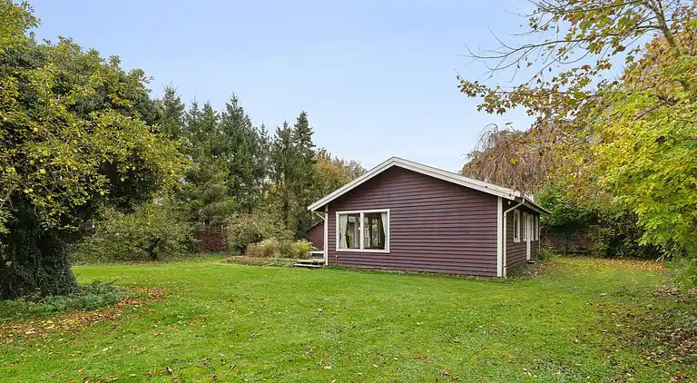 Skønt sommerhus nær Stevns Klint og Rødvig Havn