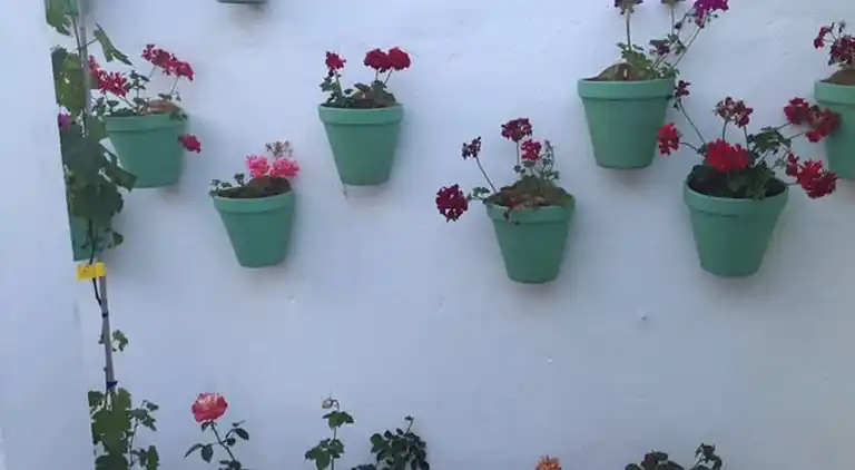 Casa Spa De La Mariola