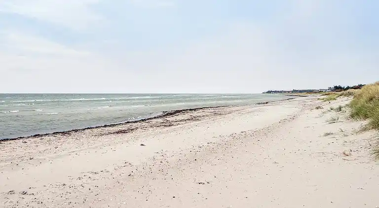 Sommerhus ved Fjellerup Strand