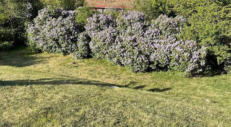 Gemütliches Ferienhaus bei Ebeltoft