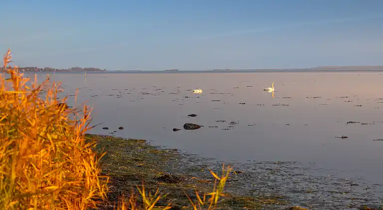 Gemütliches kleines Nebengebäude mit Meerblick