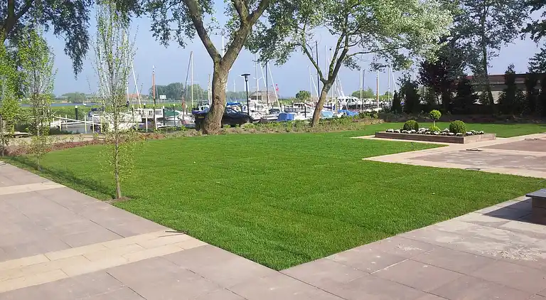 Hytte i Dordtse Biesbosch