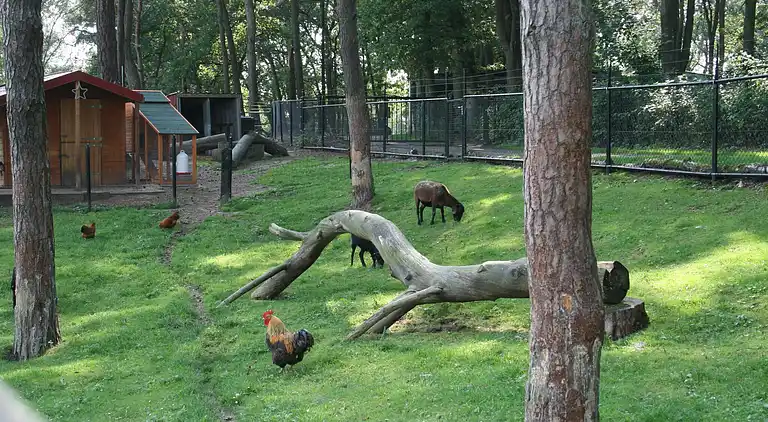 Sommerhus i Brunssum