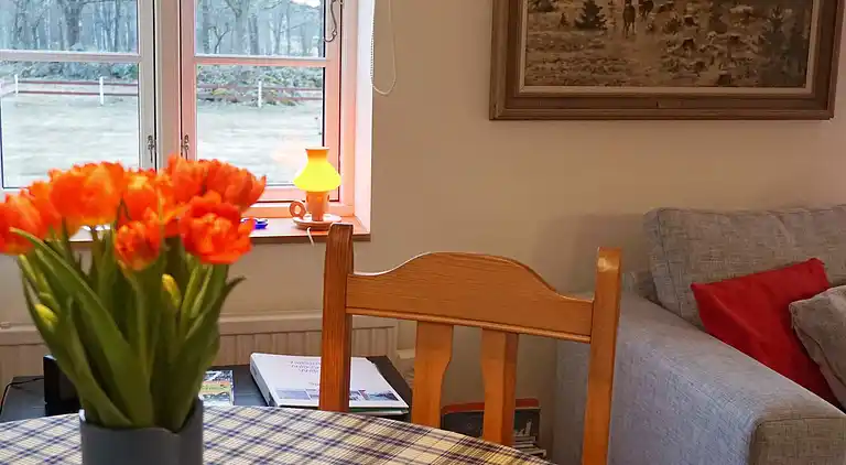 Casa vacanze in Jonsrud