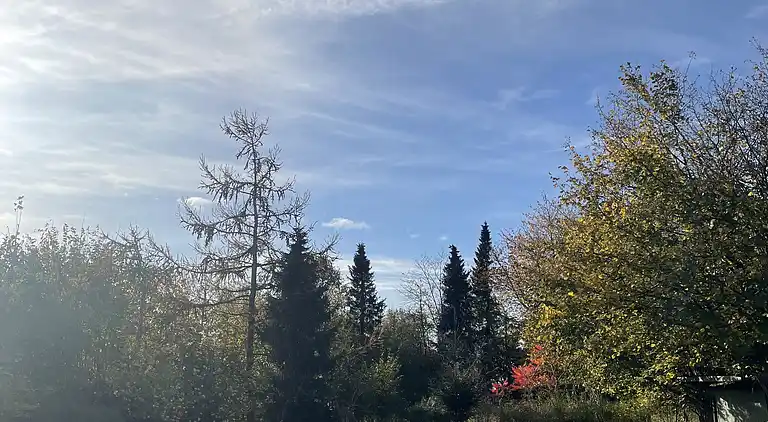 Sommerhus i naturskønt område