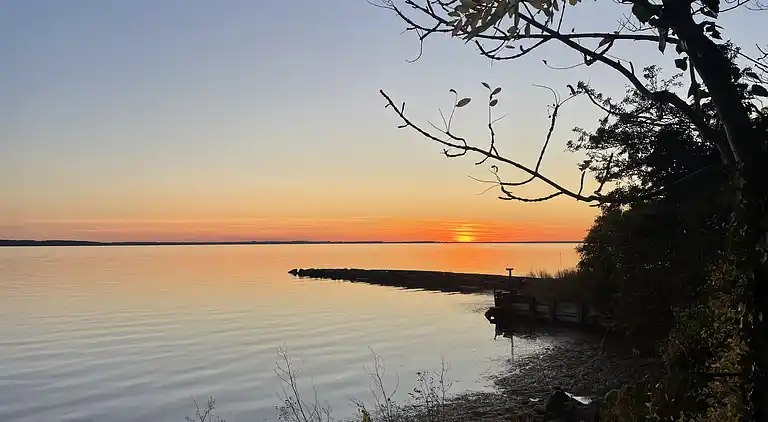 Sommerhus i naturskønt område