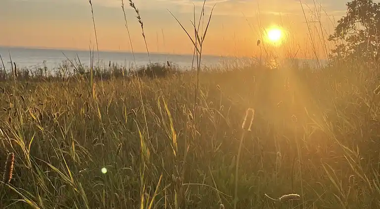 Sommerhus i naturskønt område