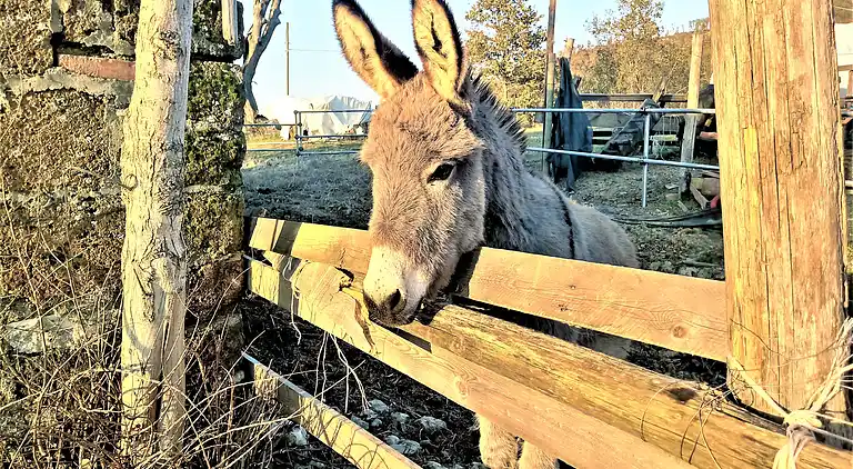 Umbrisches Bauernhaus mit privatem Pool und Garten