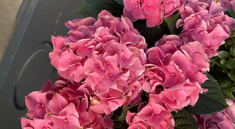 Atemberaubendes Chelsea Vintage Apartment New York-Erlebnis