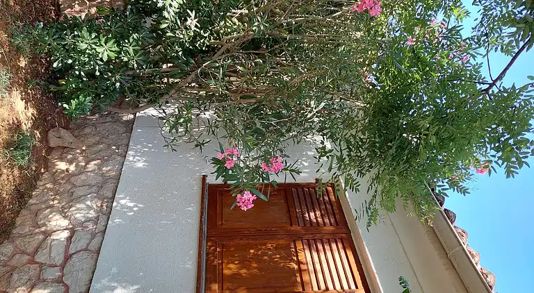 Semesterbostad i Novalja