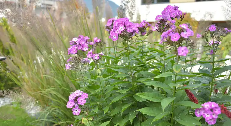 Ferienwohnung in Medraz