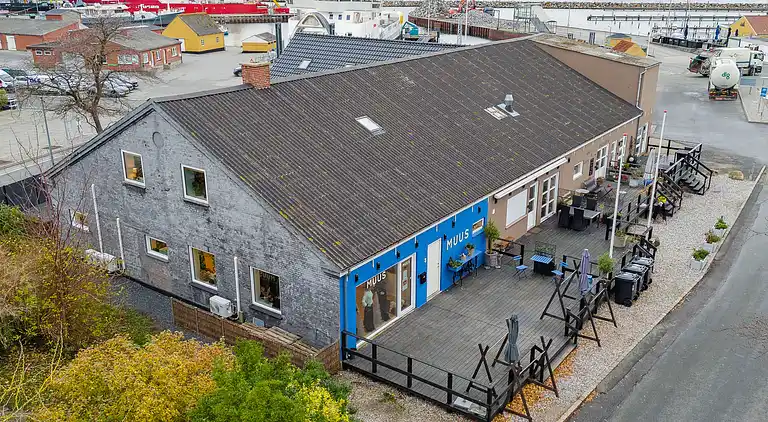 Lille oase ved kysten på smukke Ærø