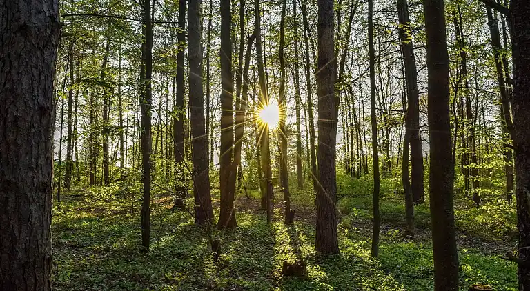 Sommerhus i Oignies-en-Thiérache