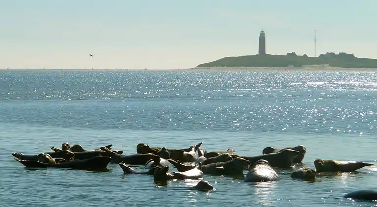 Ferielejlighed i Den Burg