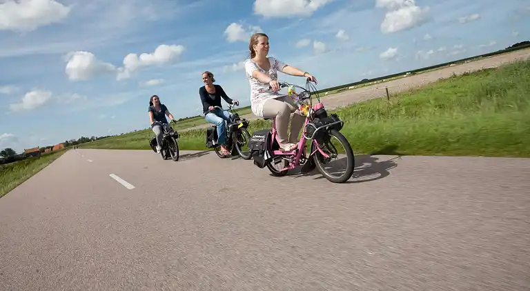 Ferielejlighed i Den Burg