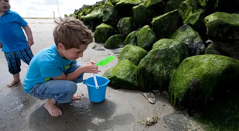 Apartment in Den Burg