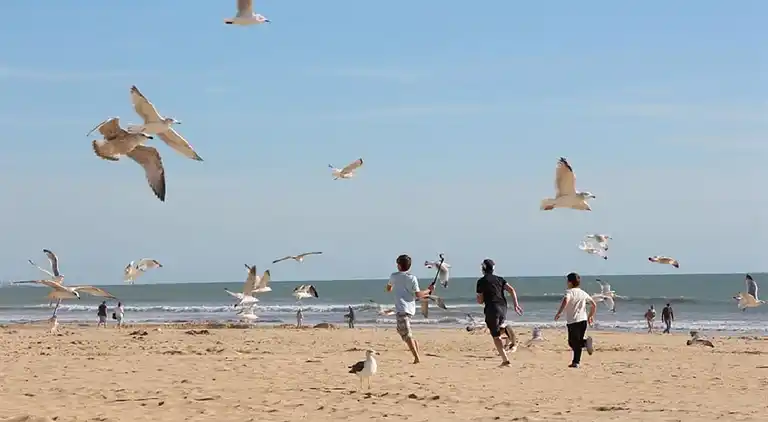 Mobile home near the beaches