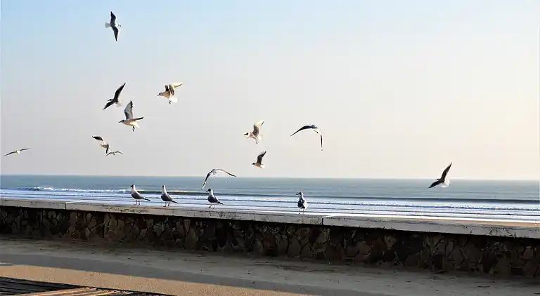 Mobile home near the beaches
