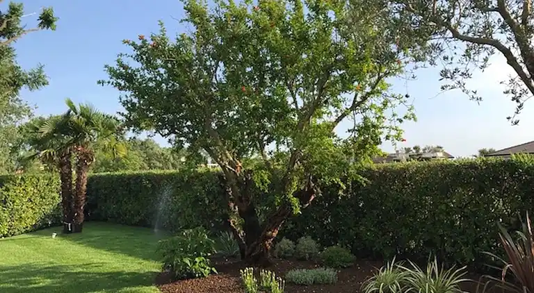 Wunderschöne moderne Villa in Albarella bei Beahost