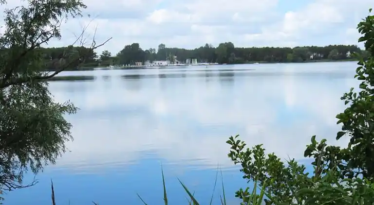 Ferienwohnung in Ginko
