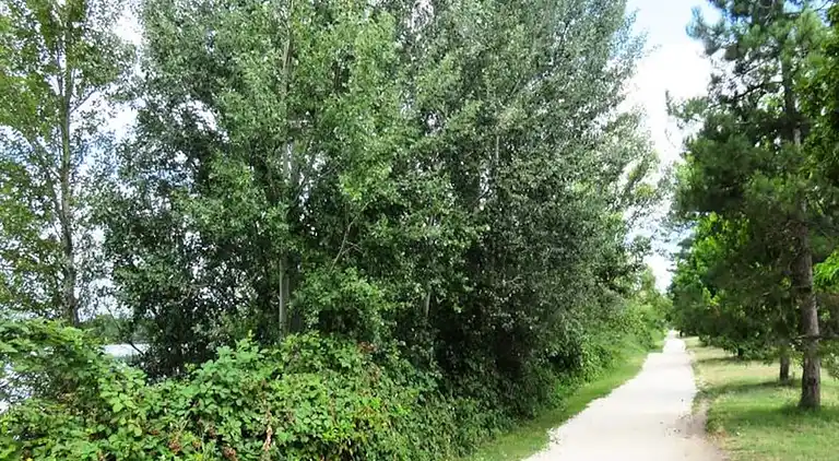 Ferienwohnung in Ginko