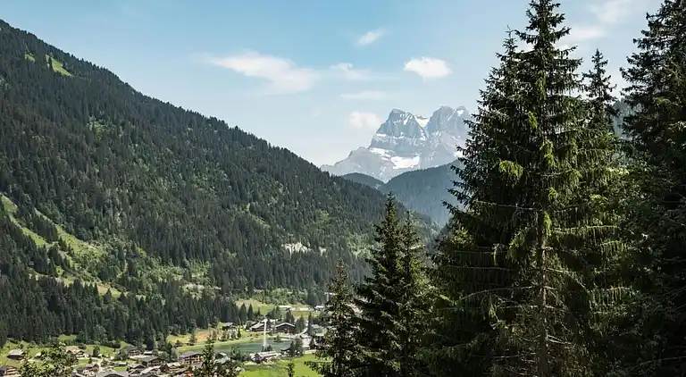 Ferienwohnung in Châtel