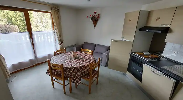 Ferienwohnung in Châtel