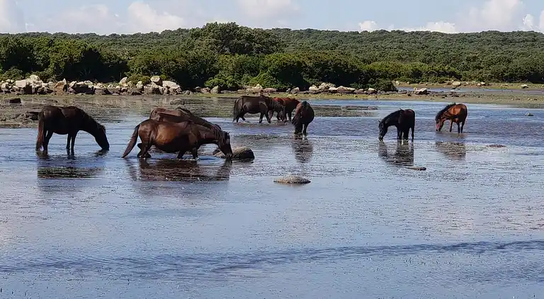 Location Sardinien Borgo Antico XIX