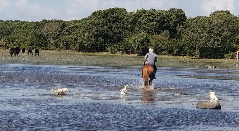 Location Sardinien Borgo Antico XIX