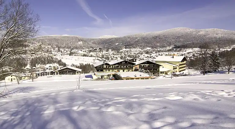 Ferienwohnung in Langdorf