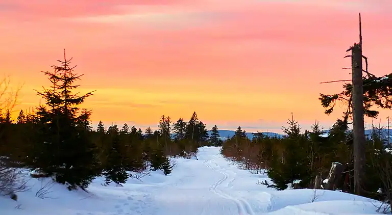 Ferienwohnung in Langdorf