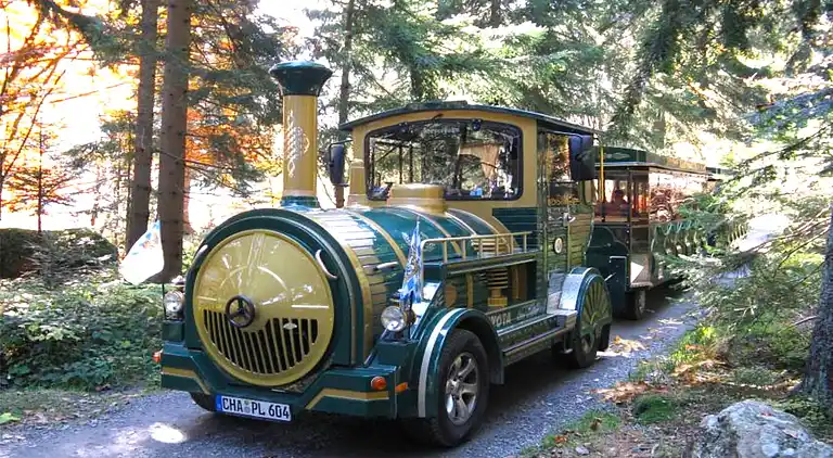 Ferienwohnung in Langdorf