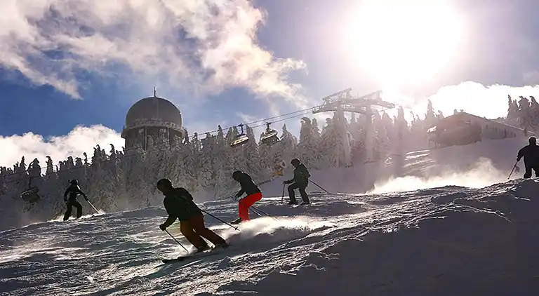 Ferienwohnung in Langdorf