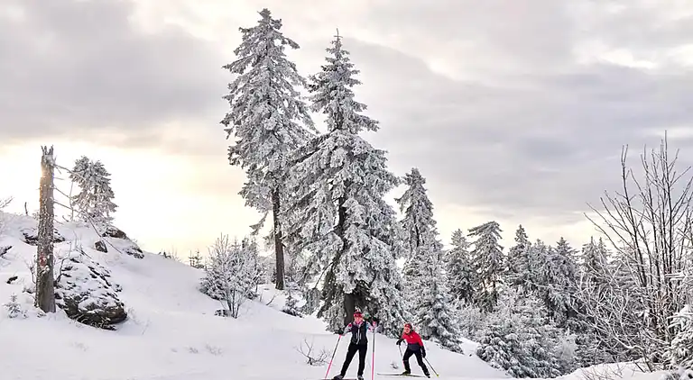 Ferienwohnung in Langdorf